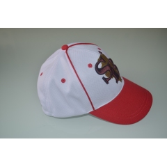High Quality Cotton White 3D Embroidered Logo Sports Hat Baseball Cap